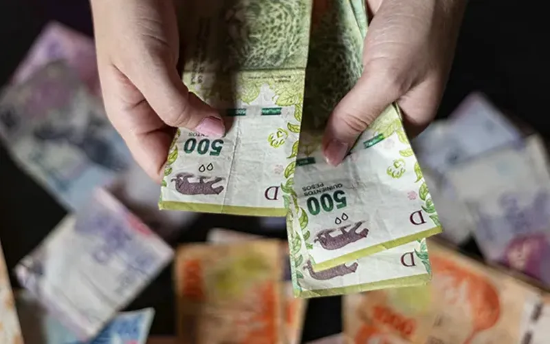 Persona experimenta crisis y cuenta sus ahorros